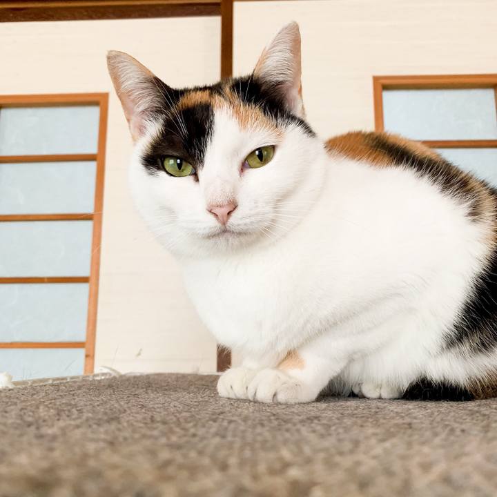 E987165d 44e4 4f20 ba59 33e551e4b68c 1545955917746