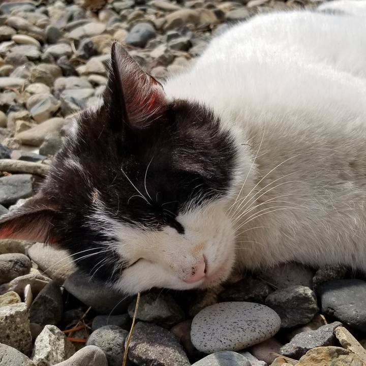 E98739a1 365d 4760 809b d11823fa06af 1585976909552