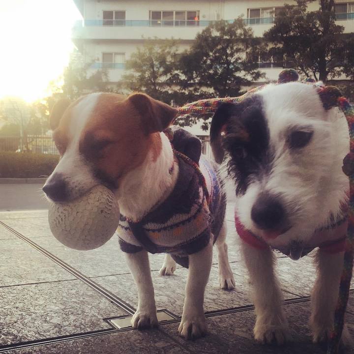 E9874806 2190 4a55 a456 74f96b27742d 1611703286383