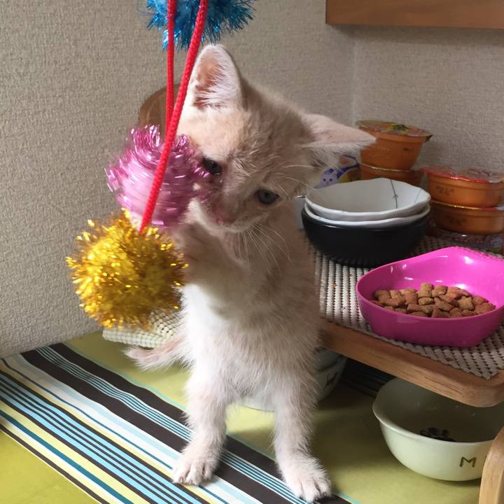 E987767c 4ace 4404 b0bc 34bf28cfb00b 1531145112200