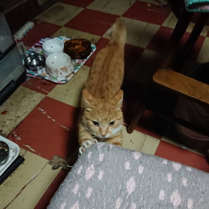 E987946a 554e 4a4f 9bea 7d58c161ab8b 1594842702780