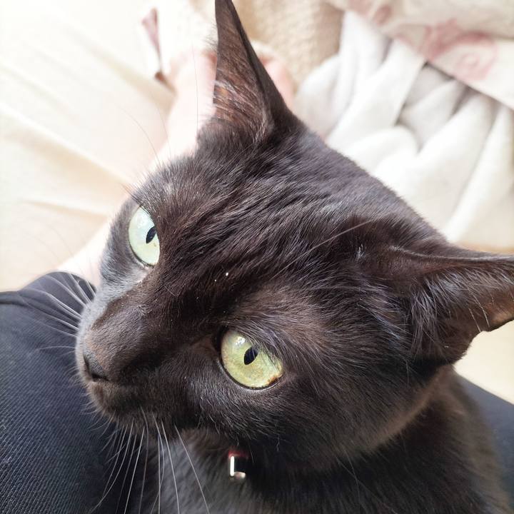 E987965d 505d 447f ac9f d890ab9344e5 1673743286617