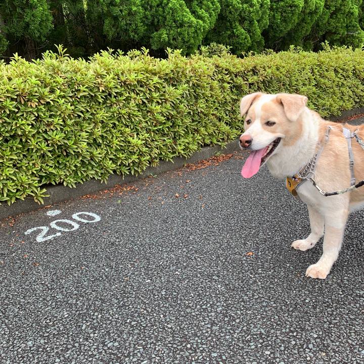 E987b08c c6e3 408f 9672 2a0032240895 1563666913609