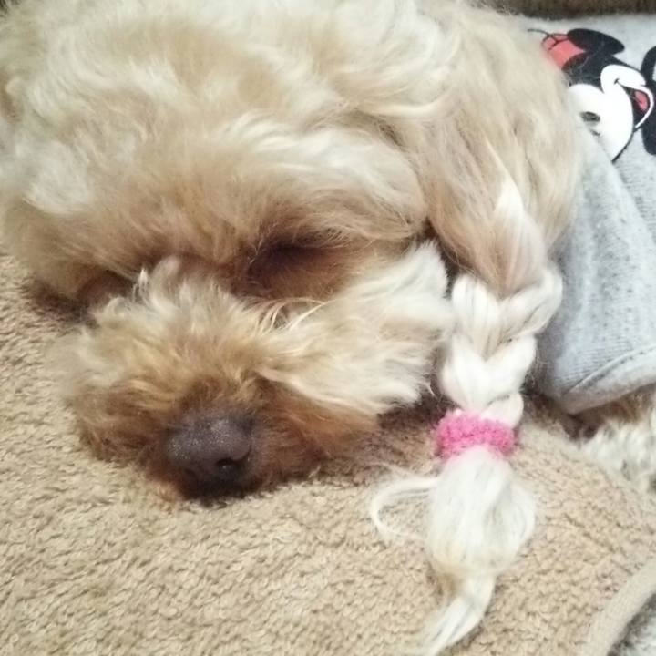 E987e434 12dd 4a67 9df2 b98061d3beb9 1524058048346