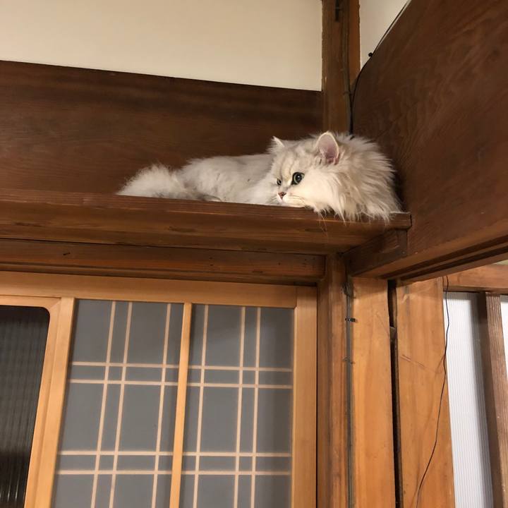 E987ee89 004e 476e 9811 021bace3024b 1553037308541