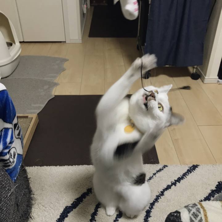 E9880139 77af 42b8 a241 6d603c0caa5c 1545977199858