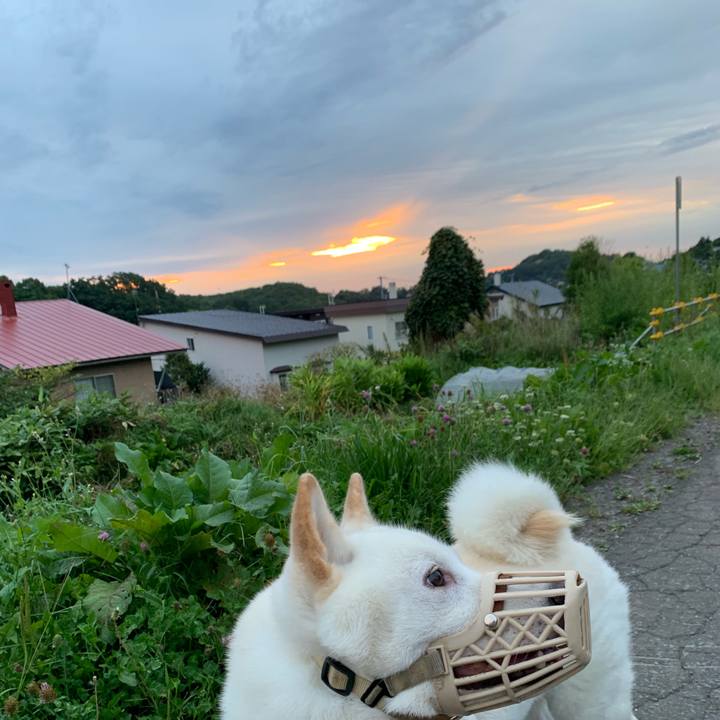 E9881ba5 0aa8 48ed 9013 73ca5133c1f9 1568150266280