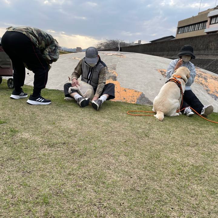 E988324c d4c1 40a2 8234 a46426795d00 1679915837325