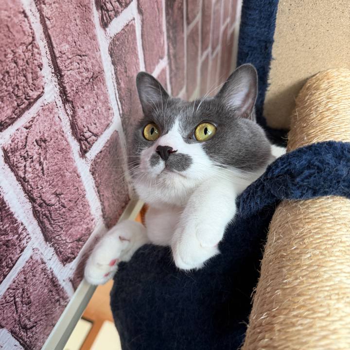 E98844c3 d9ae 486e a814 55e0fe27120b 1760656431683