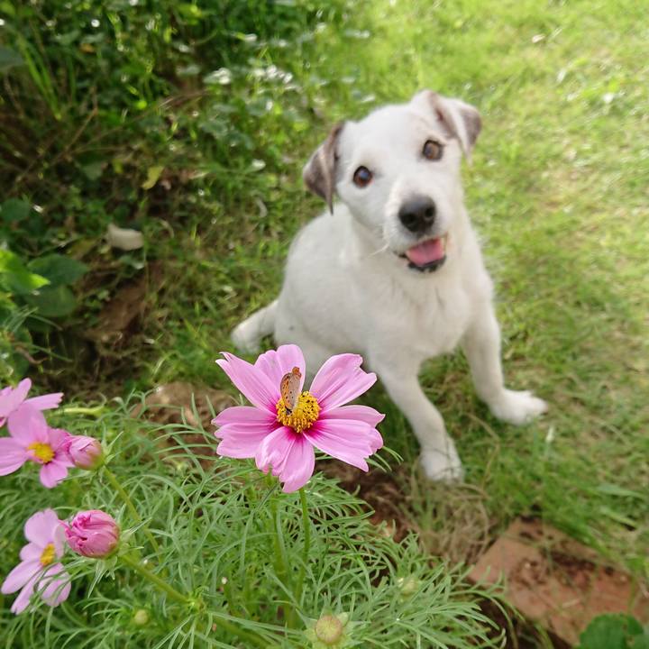 E988bb2c dafd 4a75 a8c5 d31d747737e5 1604452047507