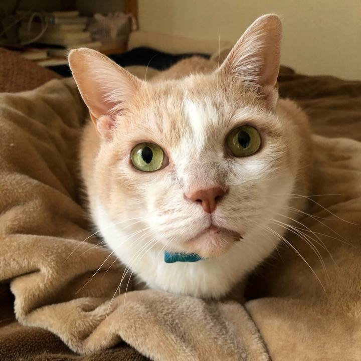 E988c40c edf3 4fbe bf20 1db2f0eed7e2 1608680300016