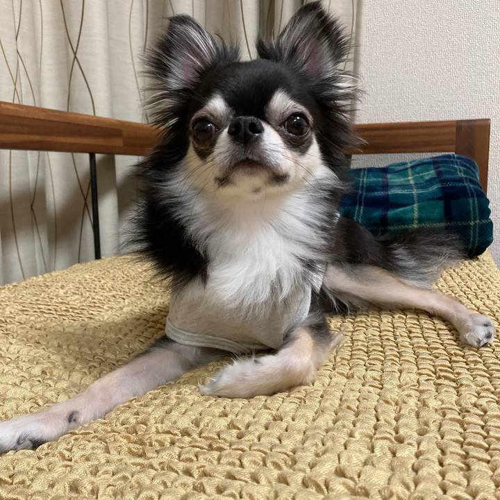 E988d63a fc01 4692 ac5b f80267330f72 1651930942225