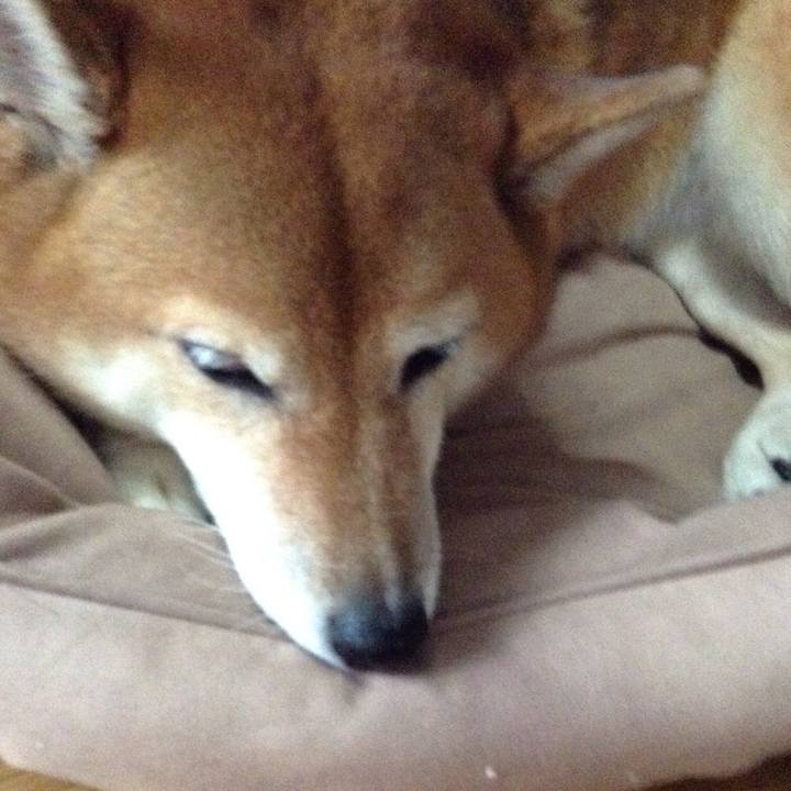 E988e3c5 6fb3 4a16 a99a f25c958fa74e 1538265636843