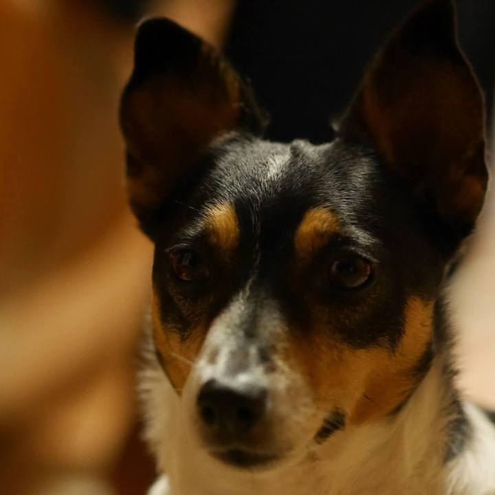 E988e83a 6230 45e1 90e1 1b806f0812b7 1625452266574