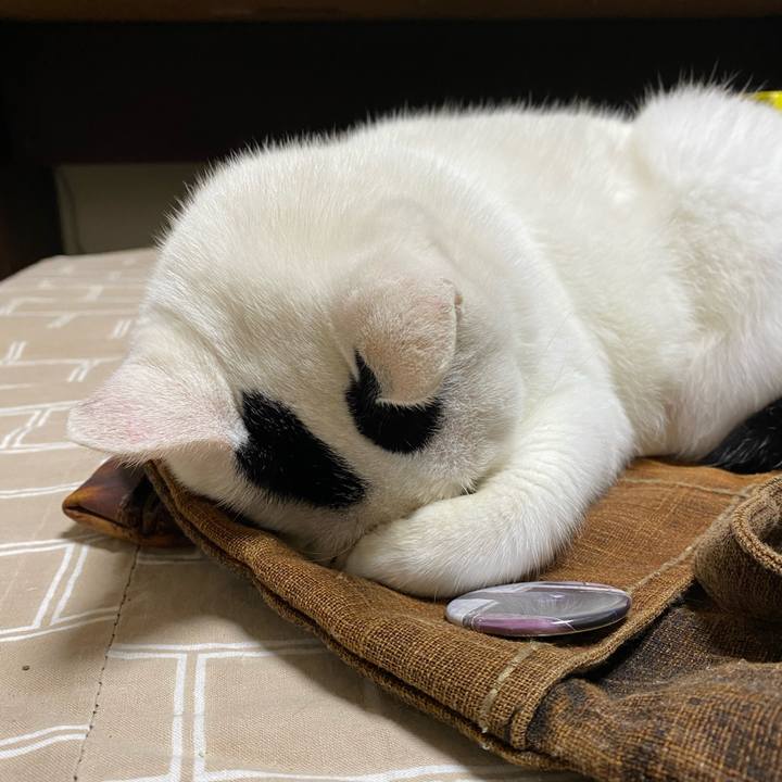 E989174c 7a61 4cb1 ad49 431892393454 1601646191817