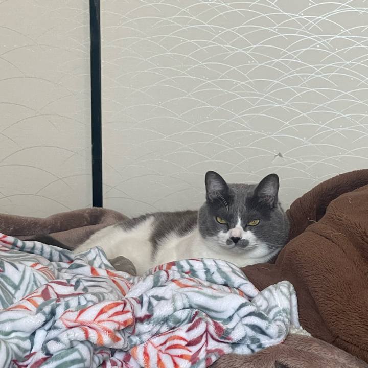 E9892092 fdc4 417d ac12 0fc96bca4e80 1734498557986