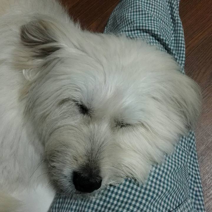 E9892d75 303a 47e6 8ca6 05ce98a18a8b 1530139434794