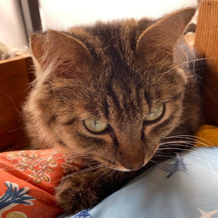 E9895312 991f 4232 a467 6acf188df69b 1726976567403