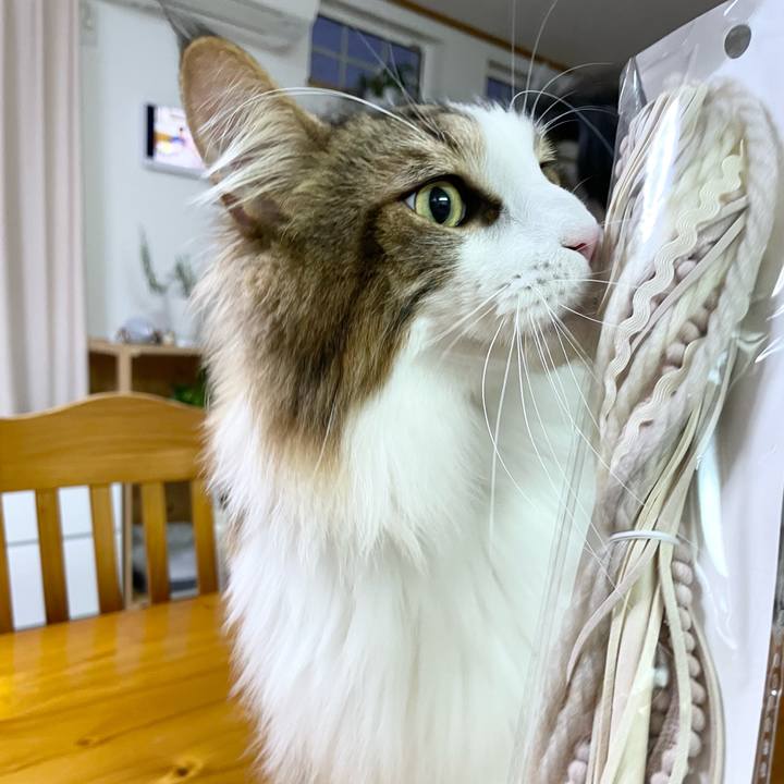 E9895c53 a19b 4cf4 9aab 624c7c479657 1666783729849