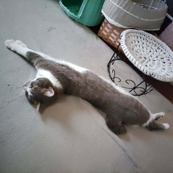 E9897441 0c11 4914 a29f 20d24d7cfbd8 1686446976008