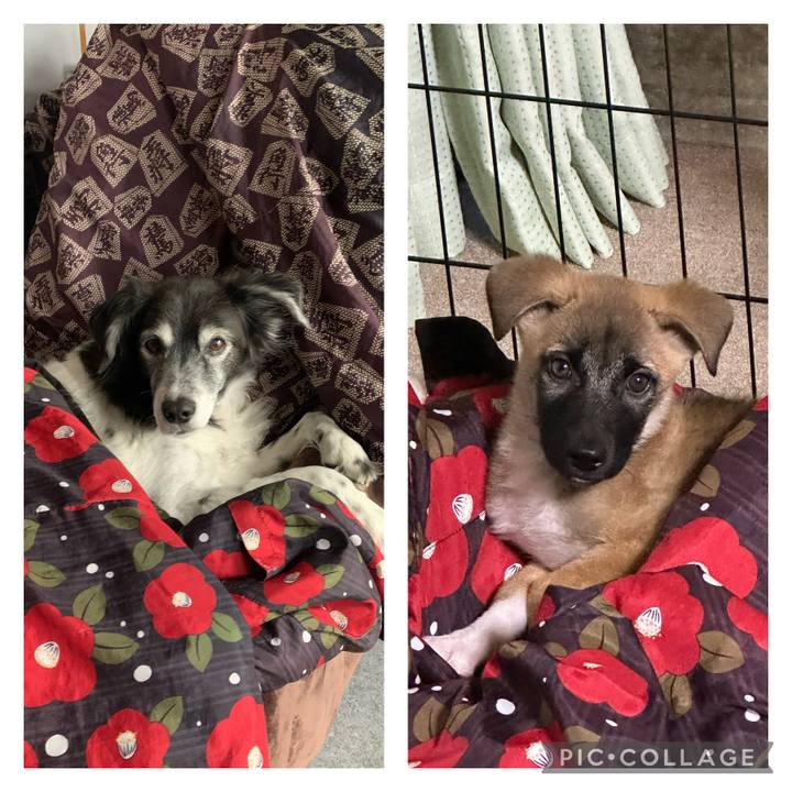 E9897798 45ab 49a8 875b 14ada953d3a2 1697595484397