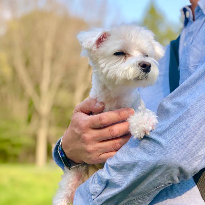 E9898a08 90f6 47b5 85a2 84abed3bde35 1554625081700