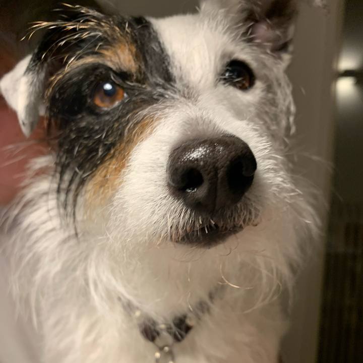 E989cf2a 08ae 4afe 8585 ff3e961092a1 1682764319524