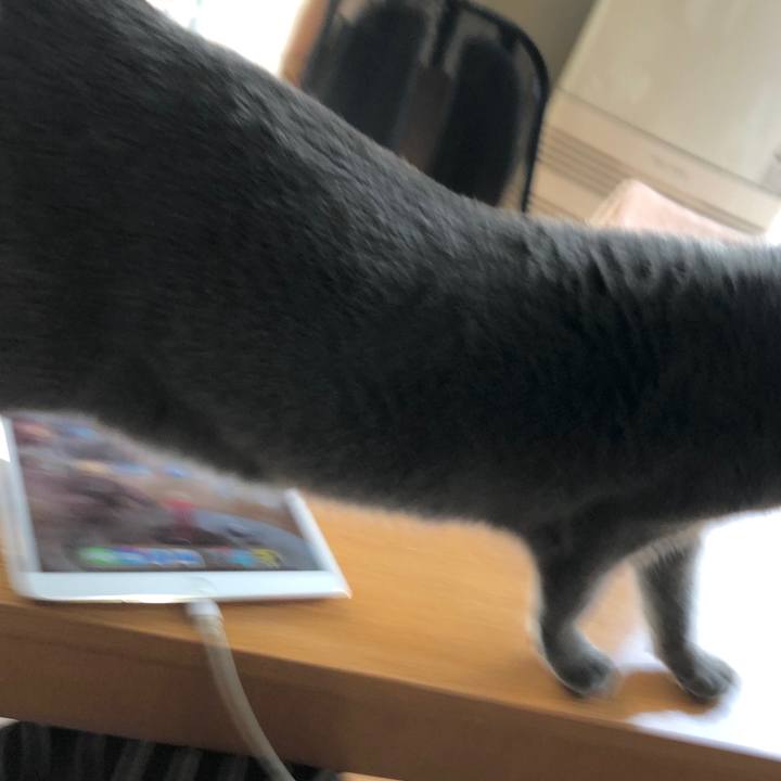 E989d556 acf7 4378 933c 03e9c42da719 1580223969111