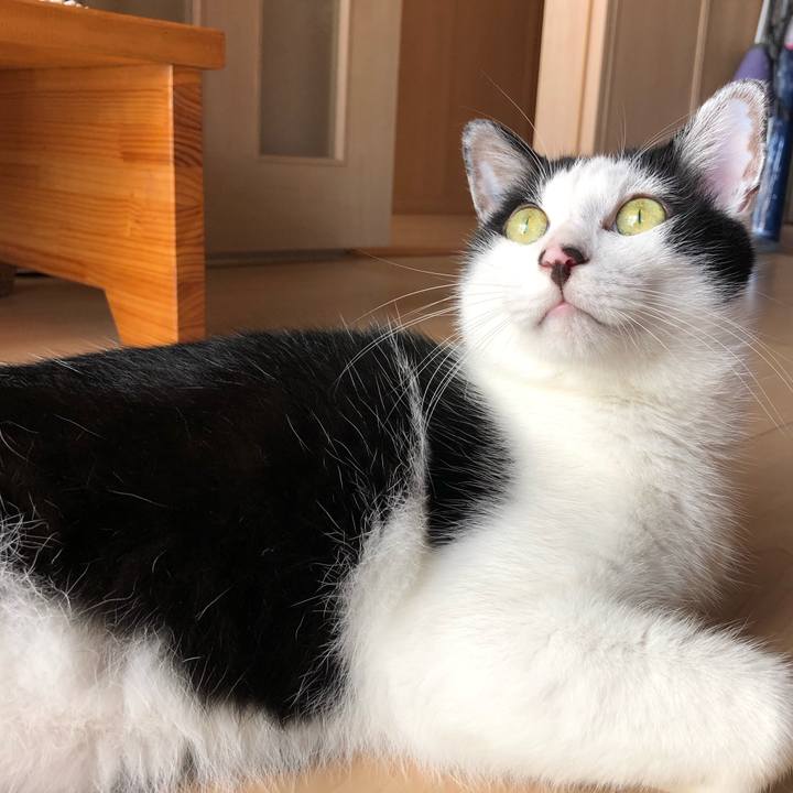 E989d745 a5bf 4f5a 9a44 c8f5437ebcda 1570940329609