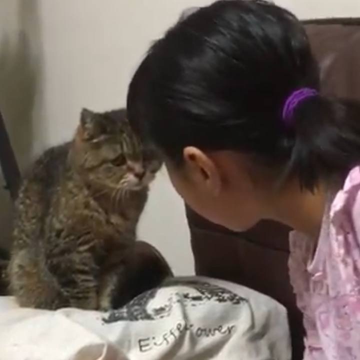 E989dd24 acfb 49be bf39 c588b444ecf5 1587813531631