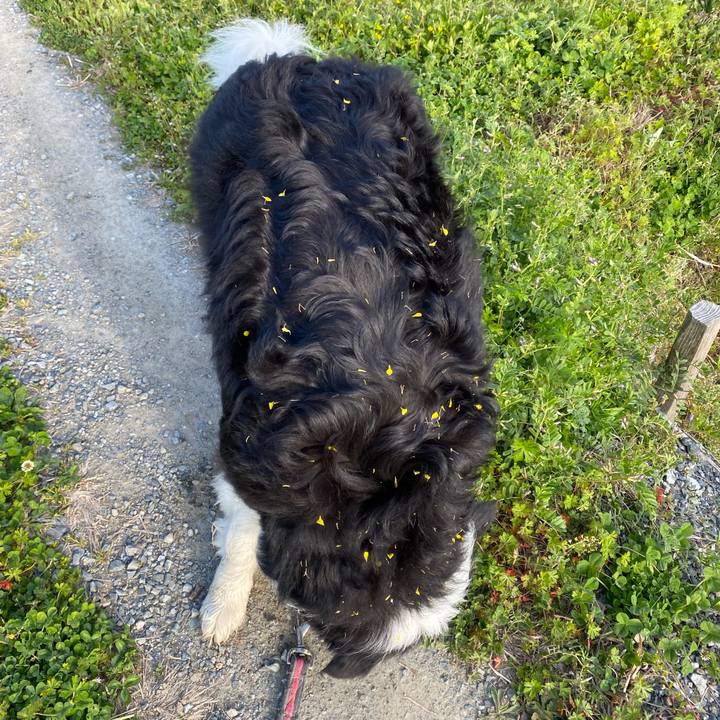 E98a0097 0a90 4e23 a1b1 5bac69d151a2 1649374311893