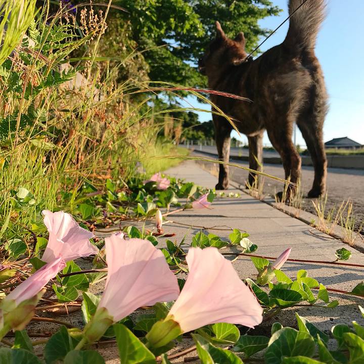 E98a2b1f 07e9 469c 8c15 f740408ff074 1528888356651