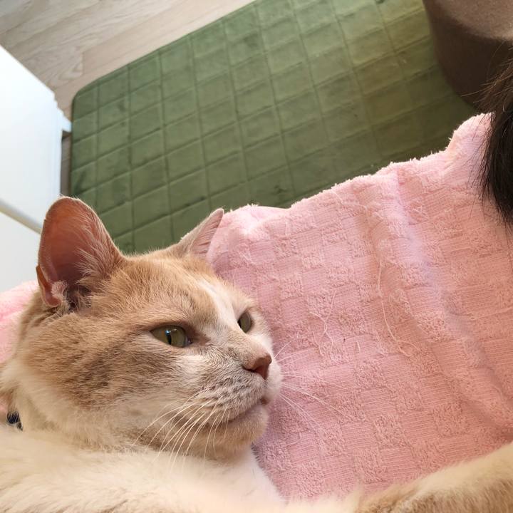 E98a853a 8f59 4717 af4a e8ac85c91f79 1568507238280