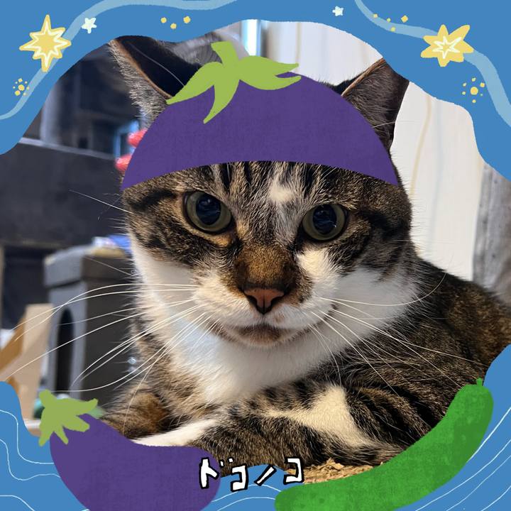 E98aa0b4 659a 4983 abd7 f294ec8e1e88 1755266621181