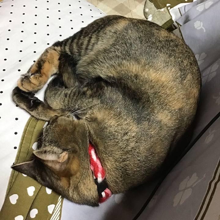 E98abd0b 0190 447b 93d9 cb758cb23c4b 1606816595575