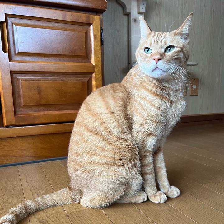 E98ad5a1 f4fd 45c5 9ab0 ef4cd25b3fe5 1774940402685