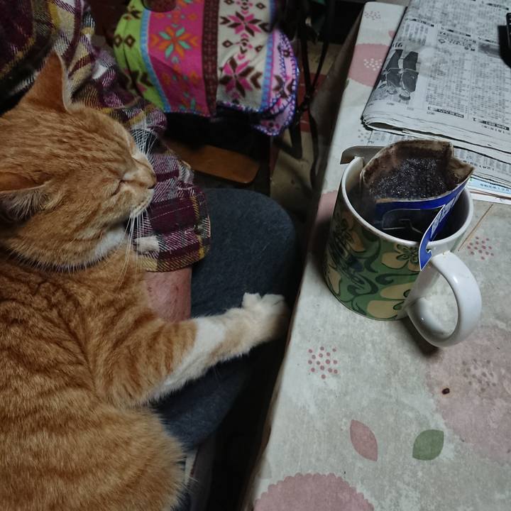 E98b2a5d f927 440e 9f12 938e4af2b16a 1578169053989