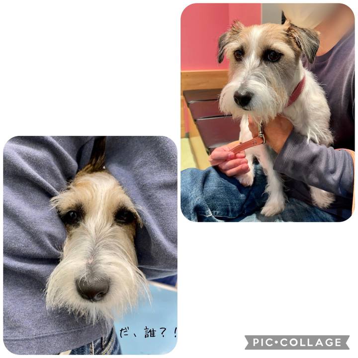 E98b4990 e01f 480f bd0d fdc4787fefa3 1669291337778