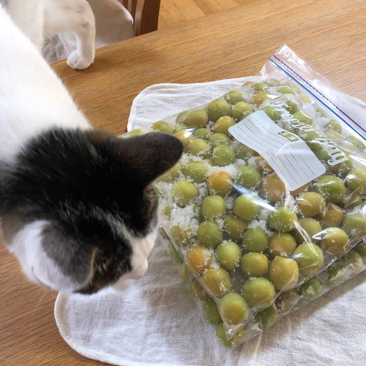 E98b5fcc fbd0 4847 bf18 305e104b5302 1623055935523