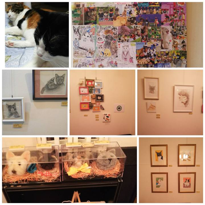 E98b63b1 bc3f 4dab a3ac b67bf338d82d 1534654879441