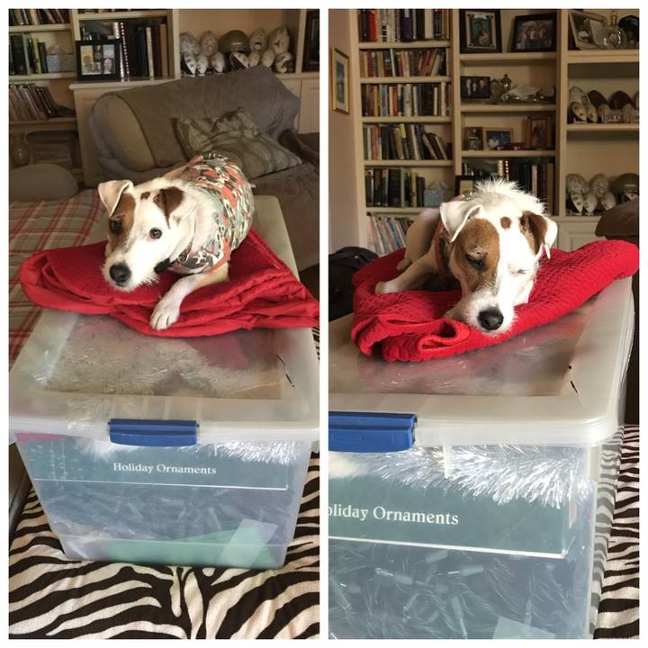 E98b6533 a151 4f26 8b45 fb866cca8cf7 1514746910643