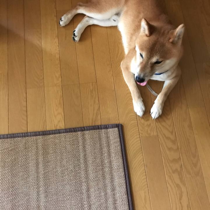 E98b88f3 593b 4e0a ab38 f0b2980c6090 1596969526876