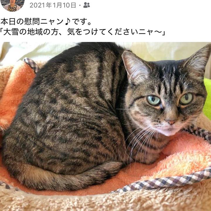 E98b8a33 a250 4c8c ba86 fcfa9581f06f 1768043193632