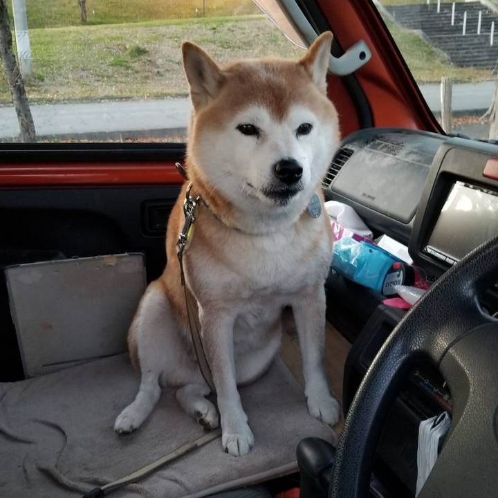 E98ba07c 7777 4dea 9d4f 1c376ea0f984 1667980358730