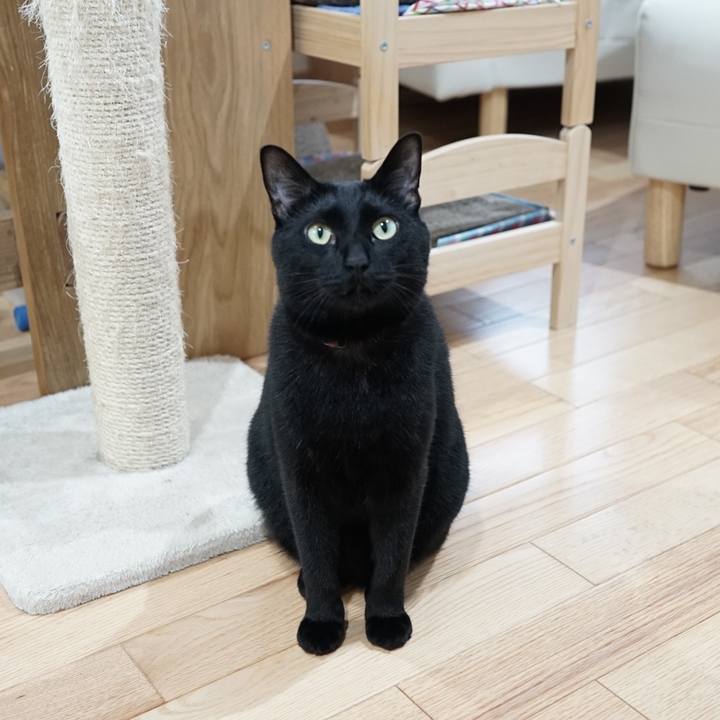 E98ba1de 236b 4079 b6ca b054f344e7b0 1561332744539