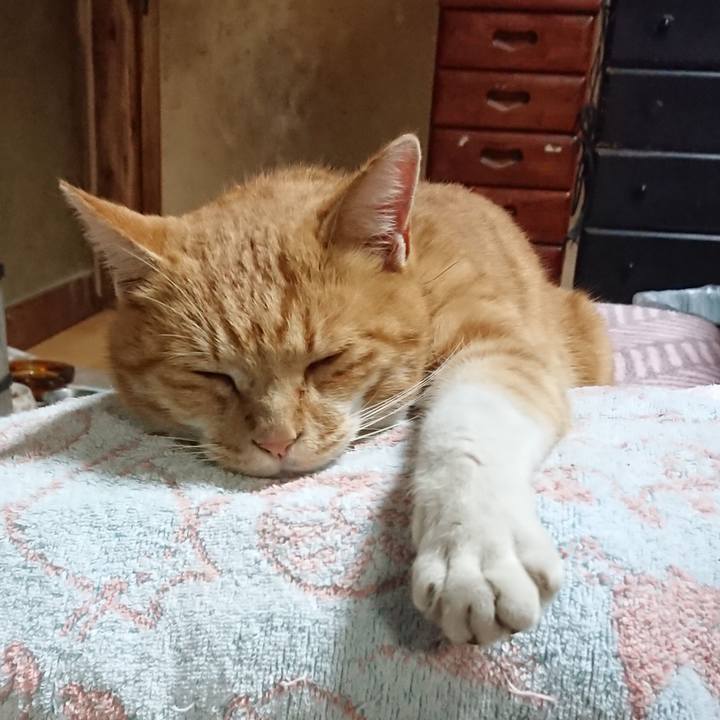 E98ba57f efc0 4d60 b59c da68f68bacab 1605261774265