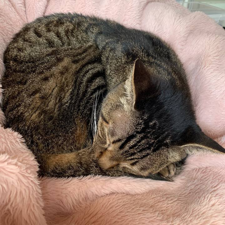 E98bac52 13e7 475d 81b5 f329e37e0998 1586221163308