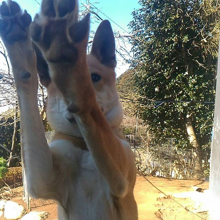 E98bc23b c5f8 4d3a 913a 889a7ee1d0b1 1514436162150