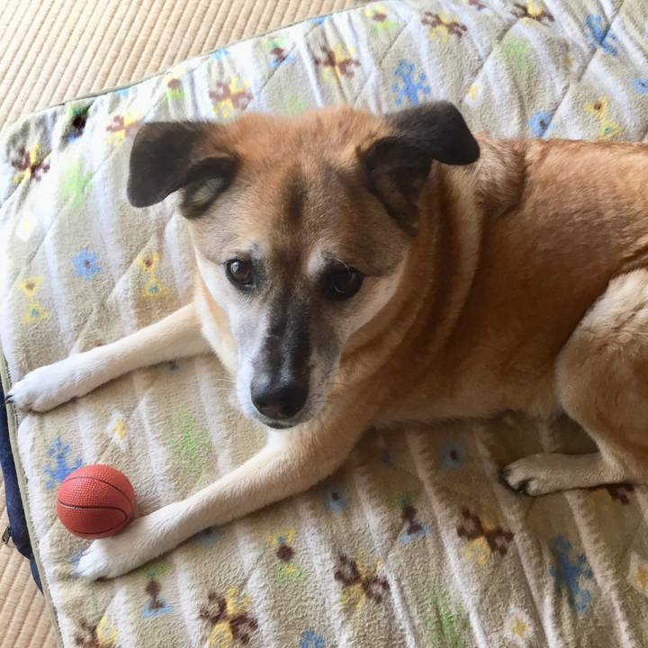 E98bd03f 821c 4d2b 85a7 d1390ab496d7 1560986326525