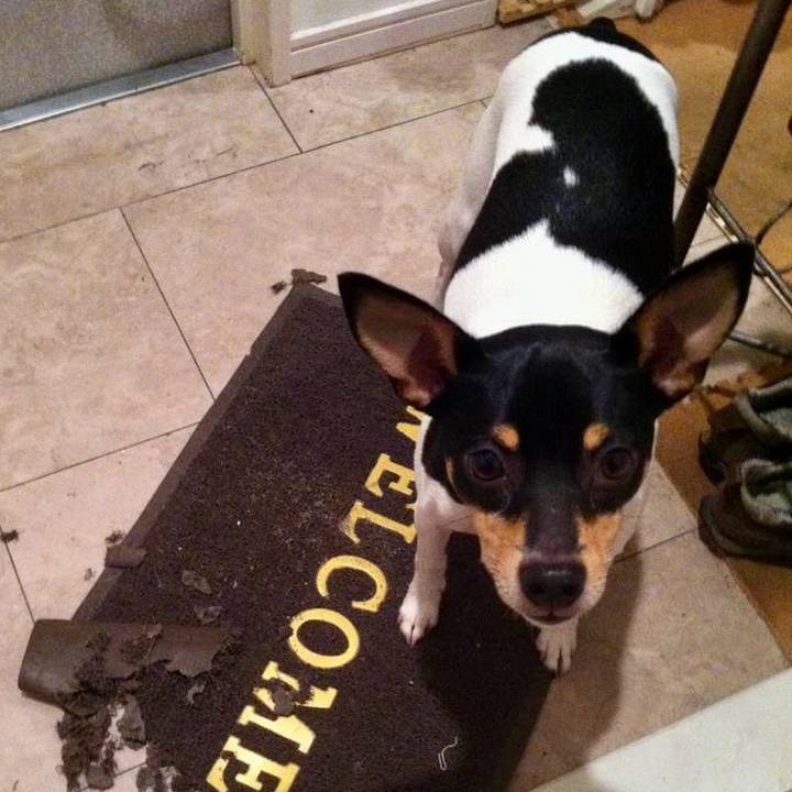 E98bd2a7 7a69 4ef3 b0a0 43d93813bc0d 1709783434513